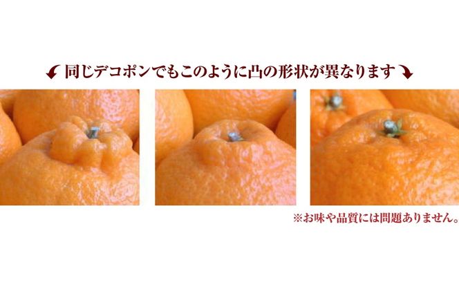 デコ不知火（デコポン） 約5kg / サイズおまかせ　※2027年2月上旬～2027年4月上旬頃に順次発送予定(お届け日指定不可)　紀伊国屋文左衛門本舗　【sgtb420A】
