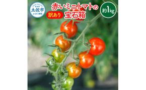【訳あり】【先行予約】訳あり 赤いミニトマトの宝石箱 約1キロ 約1kg〈2026年11月下旬～2027年5月下旬まで〉 トマト とまと ミックス 詰め合わせ セット 野菜 料理 サラダ マリネ パスタ 浅漬け おやつ 弁当 甘味 酸味 新鮮 高知県 土佐市【ファーム輝】 [BQBM009]