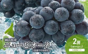 ぶどう 2026年 先行予約 ニューピオーネ 2房(1房480g以上) 化粧箱入り ブドウ 葡萄 岡山県産 国産 フルーツ 果物 ギフト [№5735-2045]