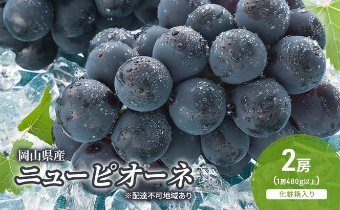 ぶどう 2026年 先行予約 ニューピオーネ 2房(1房480g以上) 化粧箱入り ブドウ 葡萄 岡山県産 国産 フルーツ 果物 ギフト [№5735-2045]
