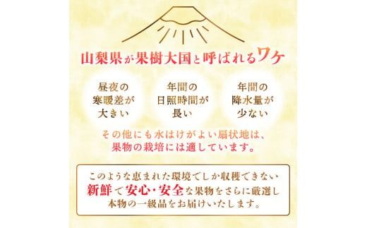 【2025年先行予約】【 定期便 】 厳選 フルーツ 3回 定期便 シャインマスカット 桃 黒ぶどう 果物 フルーツ くだもの 旬 もも ぶどう 高級 山梨 富士吉田