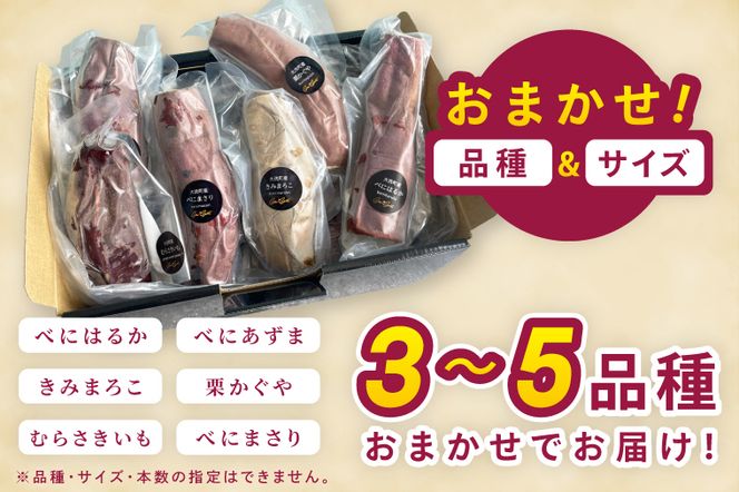 冷凍焼き芋 『Sea Sweet』 2.5kg 品種おまかせ詰め合わせ  3～5種類 詰合せ【 紅はるか / きみまろこ / 紫いも / 紅まさり / 紅あずま / 栗かぐや 】 真空パック 個包装 冷凍 焼き芋 さつまいも やきいも スイーツ 産地直送