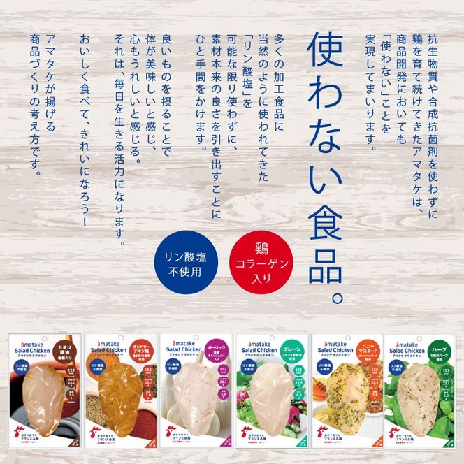 サラダチキン ガーリック味 100g×10個 計1kg リン酸不使用 冷凍 鶏肉 サラダ スパイス お弁当 おかず  [amatake043]