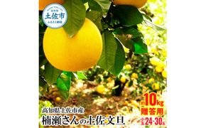 【先行予約】楠瀬さんの土佐文旦 贈答用小玉 約10kg〈2027年2月15日～2027年4月5日発送〉 期間限定 高知 土佐 文旦 ぶんたん ブンタン 柑橘 みかん 果物 10キロ Lサイズ 24～30玉 フルーツ 旬【まる庄果樹園】[BQAF004]