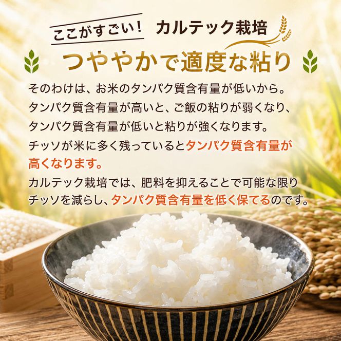 令和7年産 京都丹波産 コシヒカリ 5kg 西村ファーム 京ほたる米