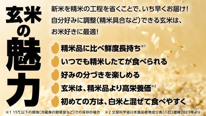 ★新米 先行予約★ 令和8年産 コシヒカリ 玄米 30kg  茨城県つくばみらい市産 ｜ 米 コメ 単一米 コスパ 茨城県産 国産 単一原料米 こしひかり お米