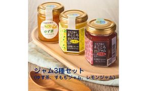 栽培期間中農薬不使用 自家製有機肥料で育つ果実の 手作りジャム3種（ゆず茶・すもも・レモン）【アグリCATS】_HA2079 ゆず すもも レモン ジャム 美味しい 福岡県宗像市 宗像市 福岡 宗像