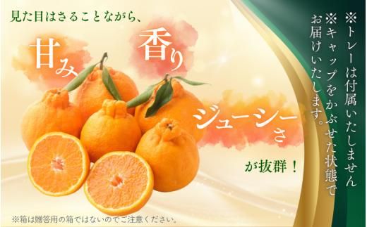 【先行予約】 秀品 ハウス不知火 5kg【M～3Lのサイズおまかせ】【2027年1月下旬から2027年4月上旬頃に順次発送】＜味好農園＞/不知火 デコポン 蜜柑 みかん 柑橘 果物 フルーツ 【agy006-p-5】