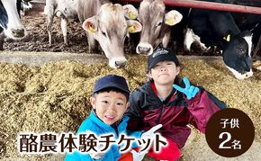 酪農体験チケット 子供2名 【 体験チケット 酪農 北海道 幕別町 牛 搾乳 牧場 自然 】