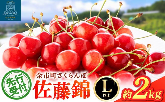 【先行予約2026年7月上旬より発送】余市の砂川果樹園が贈る もぎたて直送さくらんぼ 佐藤錦 2kg箱_Y033-0039