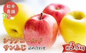 りんご サンふじ シナノゴールド 詰め合わせ 約3.5kg フルーツ 果物 甘い 林檎 セット