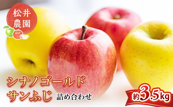 りんご サンふじ シナノゴールド 詰め合わせ 約3.5kg フルーツ 果物 甘い 林檎 セット