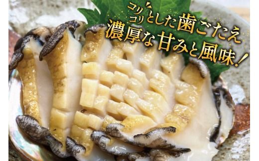 海鮮 魚介 三陸 天然 活 アワビ Mサイズ 800g(6～7個入) [マルヤ五洋水産 宮城県 南三陸町 30al0010] 魚介類 あわび 鮑 天然 蝦夷あわび 貝 冷蔵 刺身 刺し身 活き ステーキ