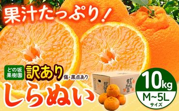 訳あり 不知火 ( デコポンと同品種 ) しらぬい 約10kg (M〜5Lサイズ) どの坂果樹園[2025年2月上旬-4月上旬頃出荷] 和歌山県 日高町 しらぬい でこぽん 旬 果物 フルーツ 柑橘 訳あり不知火 訳ありデコポン 訳ありしらぬい 送料無料---wsh_dsk21_2j4j_24_15000_10kg---