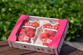 特別栽培あまおう2パック(サイズミックス)【うるう農園】_HA1967