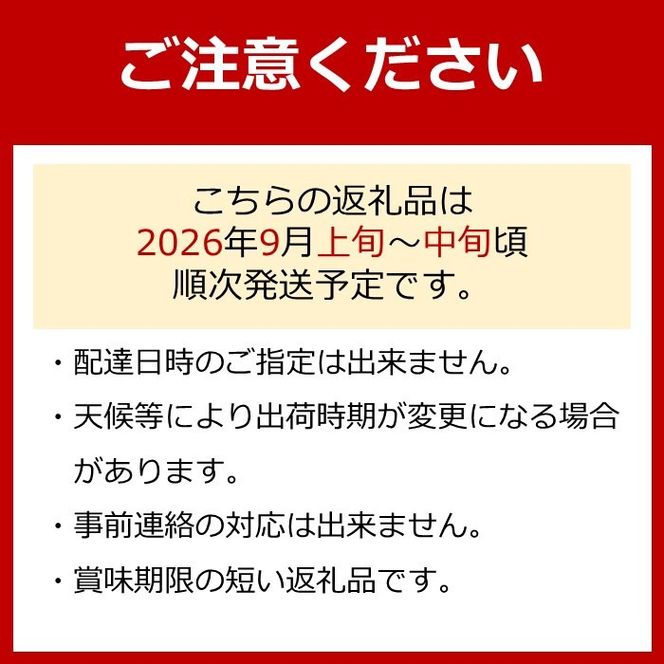 【先行予約】有田巨峰村三木と園の露地栽培あま～い種あり巨峰2kg  	BR07