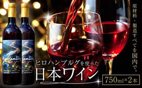 酒 日本ワイン 750ml 2本 矢掛放送 岡山県矢掛町《30日以内に出荷予定(土日祝除く)》 酒 ワイン 国産 ヒロハンブルグ 赤ワイン 国産 ブドウ 100％---osy_cyhwine_30d_26_44000_2---