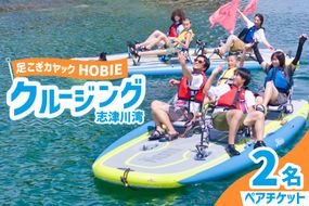 チケット 足漕ぎカヤック HOBIE 志津川湾 クルージング 体験 2名様分 [サスティナビリティセンター 宮城県 南三陸町 m304blw940000] チケット ペアチケット カヤック アウトドア 旅行 観光 体験会 券 ペア