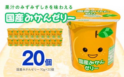 愛知ヨーク　国産みかんゼリー　20個入　ゼリー デザート 国産果汁 アレルギー不使用 健康 給食 保育園 幼稚園 小学校 中学校 支援学校 病院 高齢者施設［108A03］