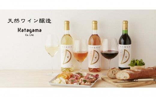 天然ワイン醸造 酸化防止剤無添加 天然葡萄酒 赤中辛 マスカットベリーA 720ml × 2本 発売元 株式会社片山
