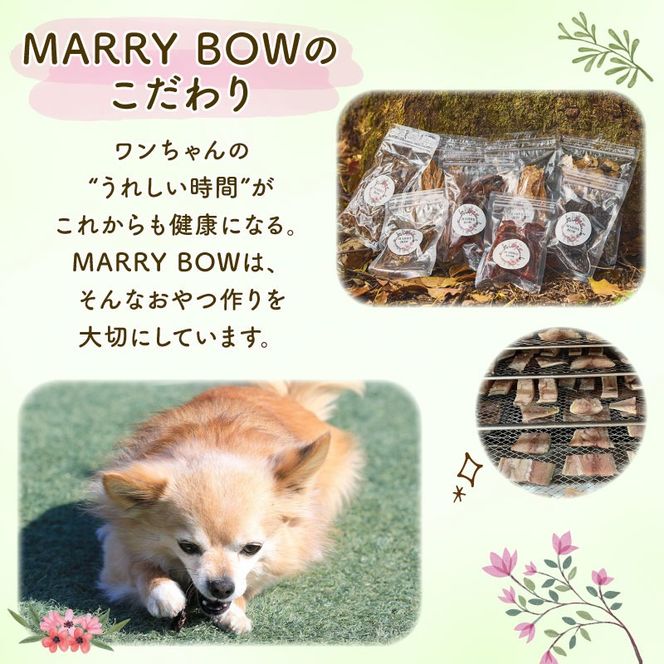 【選べる容量！】 わんちゃん 用 鶏胸 ＆ 鶏ささみ ジャーキー セット 2袋 4袋 80g 160g 無添加 国産 手作り 愛犬用 ペット おやつ 犬用 愛犬 ワンちゃん 犬 鶏肉 ネコ 猫 ねこ 動物 ペットフード 静岡 藤枝