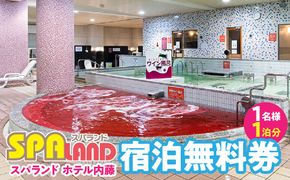 スパランド ホテル内藤 宿泊券（1名様1泊分） 254-003