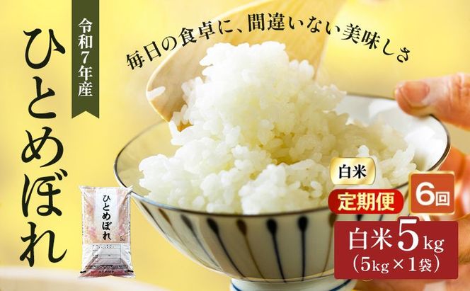 ひとめぼれ 定期便6回/5kg×1 令和7年産 宮城県産 米 精米 白米