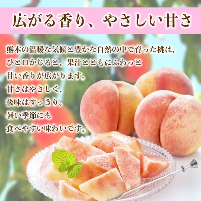 もも 約4kg（10～22玉）【桃 もも モモ 果物 フルーツ デザート 食後 錦町産】※配送不可：離島