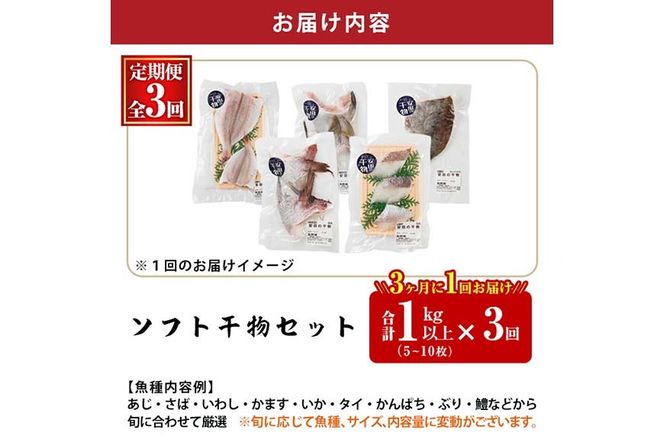 【定期便・全3回】朝獲れ鮮魚で作る！魚屋さんの 自家製 ソフト 干物(合計1kg以上・5～10枚×3回)アジ イワシ カマス イカ タイ ブリカマ セット 詰め合わせ ひもの 焼き魚 おかず お惣菜【YS-9】【株式会社安田】 [YS-9]