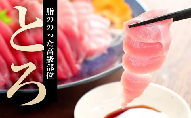 本マグロ（養殖）トロ＆赤身セット　500g［KS12］ 304018_CG1002