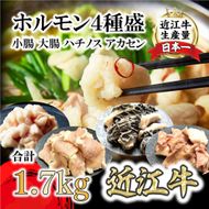 希少近江牛ホルモン４種盛（小腸 大腸 ハチノス アカセン）計1.7kg【FO43W】（国産牛　和牛　ブランド牛　ブランド和牛　黒毛和牛　牛肉　肉　高級　人気　おすすめ　神戸牛　松阪牛 に並ぶ 日本三大和牛 近江牛）