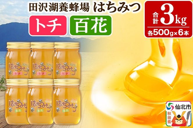 yHckszHcY݂͂ig`ESԁj500g×e3{ v3kg ϔ lߍ킹Zbg cΗ{I|02_tyj-180301