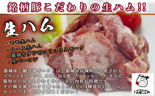 「観音池ポーク」4種部位の生ハムセット_MJ-1505_(都城市) モモ生ハム ロース生ハム 霜降りタンのコリコリスモーク 生ベーコン ブランド豚のポークハム ポーク生ハム