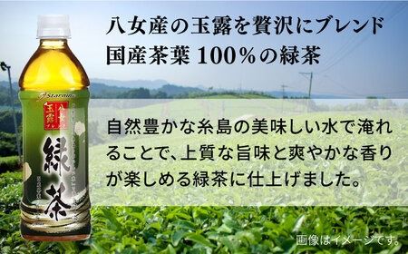 八女 玉露入り 緑茶 500ml × 24本 糸島市 / スターナイン お茶 ペットボトル [ARM004] お茶 ペットボトル 500ml 24本 緑茶 国産 まとめ買い 八女茶 常温