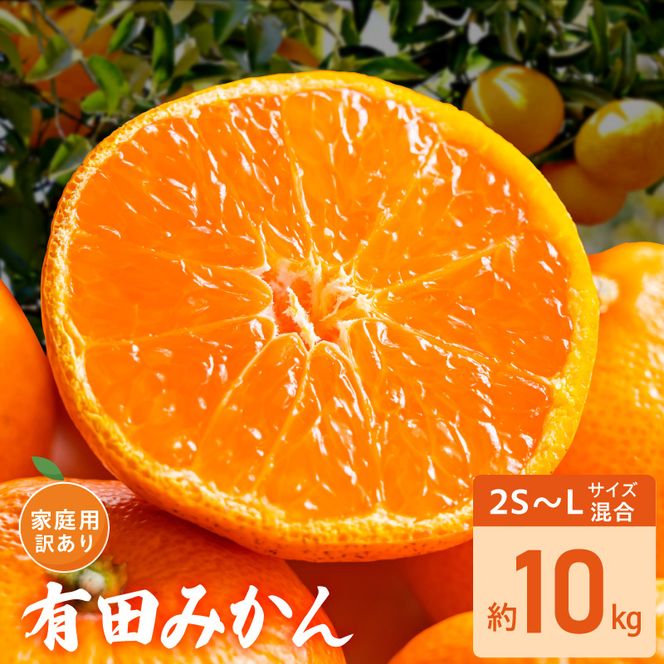 家庭用 訳あり 有田みかん 和歌山 2S～Lサイズ混合 約10kg_DZ6235