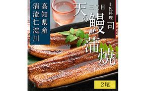 【CF-R7hbk】TRT002　“土佐料理司”三代目天の鰻蒲焼2尾セット／「仁淀川」水系の地下水使用 完全無投薬養殖 国産・高知県産〈高知市共通返礼品〉うなぎ 真空パック （ウナギ・たれセット） 