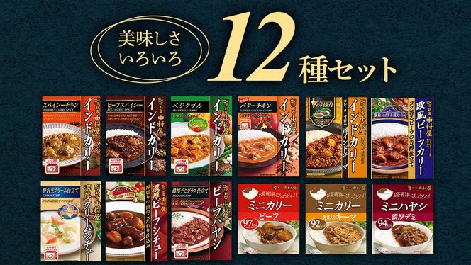 【 定期便 全3回 隔月 お届け 】 新宿 中村屋 レトルト 食べ比べ セット ( Aセット 12種 ) 人気 詰合せ 洋食 時短 カレー インドカレー ビーフカレー 欧風カレー 数量限定 贈答品 保存用 ストック用 非常用 老舗 電子レンジ 調理可 [DM004us] レンチン レンジ 
