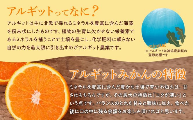 【年内発送指定】 完熟 アルギット みかん 5kg S ～ M サイズ 【発送期間：2026年12月21日～12月30日】 先行予約 みかん 有田みかん 甘い おいしい ジューシー 皮 薄い 完熟 期間限定 フルーツ 果物 DT006-02