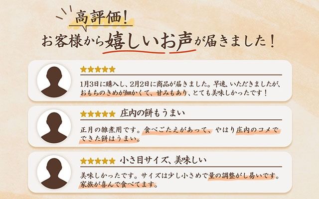 梅木もち屋 庄内産『でわのもち』を使用した杵つき餅 380g×5袋 1.9kg 柔らかくよく伸びる 丸もち お雑煮 正月 丸餅 おもち 個包装