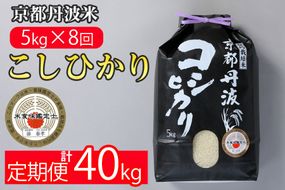 【定期便】米 京都丹波米こしひかり5kg×8回 計40kg◇◆◇ 定期便 8回定期便 米 白米 5kg 8ヶ月 ※精米したてをお届け ｜ 米・食味鑑定士厳選 コシヒカリ 京都丹波産 ※北海道・沖縄・離島への配送不可