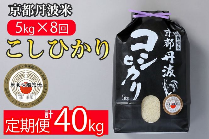 【定期便】米 京都丹波米こしひかり5kg×8回 計40kg◇◆◇ 定期便 8回定期便 米 白米 5kg 8ヶ月 ※精米したてをお届け ｜ 米・食味鑑定士厳選 コシヒカリ 京都丹波産 ※北海道・沖縄・離島への配送不可