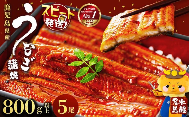 国産うなぎ蒲焼名水慈鰻5尾（合計800ｇ以上）b98-001