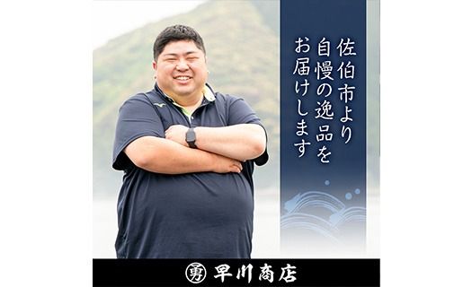 すりみ天いなり セット (計8個・4個入×2袋) すりみ すり身 いなり いりこ 鰹節 魚 魚介 弁当 惣菜 冷凍 セット 大分県 佐伯市【FK05】【早川商店】