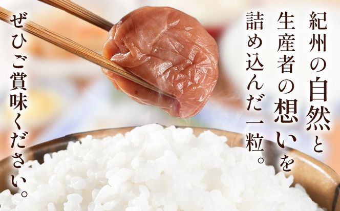塩零梅 梅干し 紀州南高梅 食塩不使用 有限会社プラム 選べる内容量 600g 900g《30日以内に出荷予定(土日祝除く)》和歌山県 日高町 送料無料 梅 うめ ウメ 南高梅 紀州---wsh_plm14_30d_25_10000_600g---