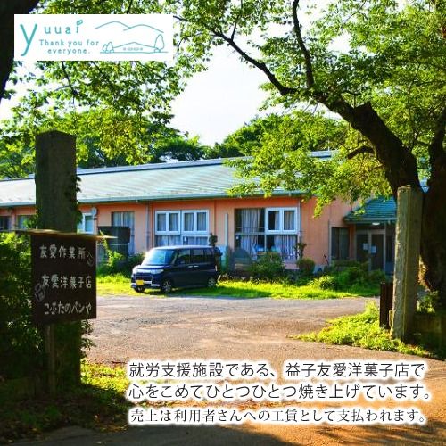 【のし対応可】国産バターのみを使った焼き菓子詰め合わせ｜栃木県 益子町 ふるさと納税 クッキー 国産 焼き菓子 詰め合わせ 手作り（AR001）