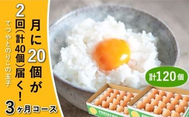 《月2回 × 20個 3ヶ月コース》卵 てつやとのりこの玉子 全6回定期便 糸島市 / 板垣ファーム 卵 たまご 玉子 鶏卵 卵かけご飯 便利 定期便 定期購入 [AWD012]