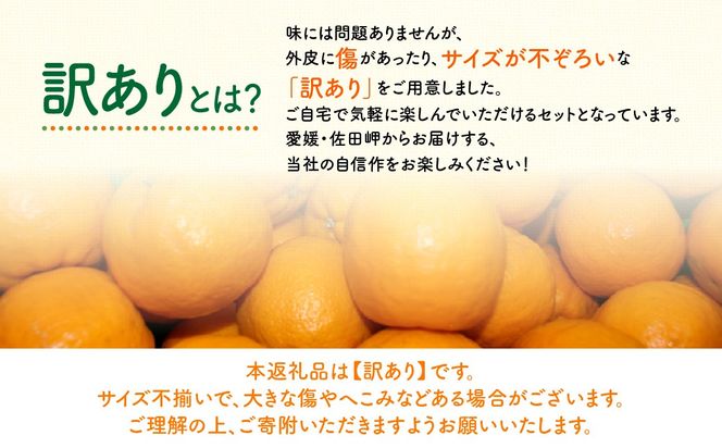 【先行予約】【訳あり】産地直送！愛媛県産ぽんかん 5kg（2027年1月上旬より順次発送）IKTF033