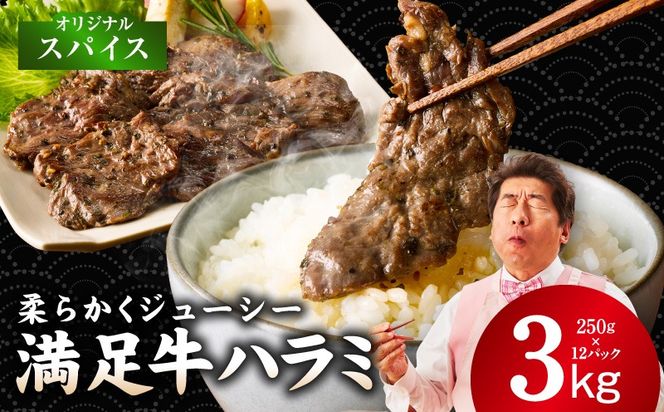 y{򍲖szG3409 yn~zIWiXpCXd v3kg yt n~  Ă ȒP BBQ  250g×12Pz