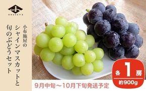 シャインマスカットと旬のぶどう 詰め合わせ 各1房 約900g［小布施屋］ 食べ比べ 果物 詰合せ セット フルーツ ぶどう 詰合せ 数量限定 長野県産 信州産 2種 くだもの フルーツセット おまかせ ブドウ 2025 先行予約 令和7年産 【2025年9月中旬～10月下旬発送】 ［A-229］