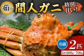 間人漁港仲買人の丸友鮮魚三代目・自慢の間人ガニ≪茹で≫[ 1匹 600～700g×2匹]　MG00006